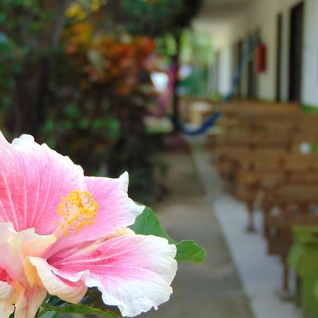 Crucero Tulum Bed & Breakfast Luaran gambar