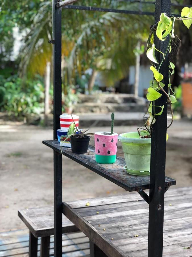 Crucero Tulum Bed & Breakfast Luaran gambar
