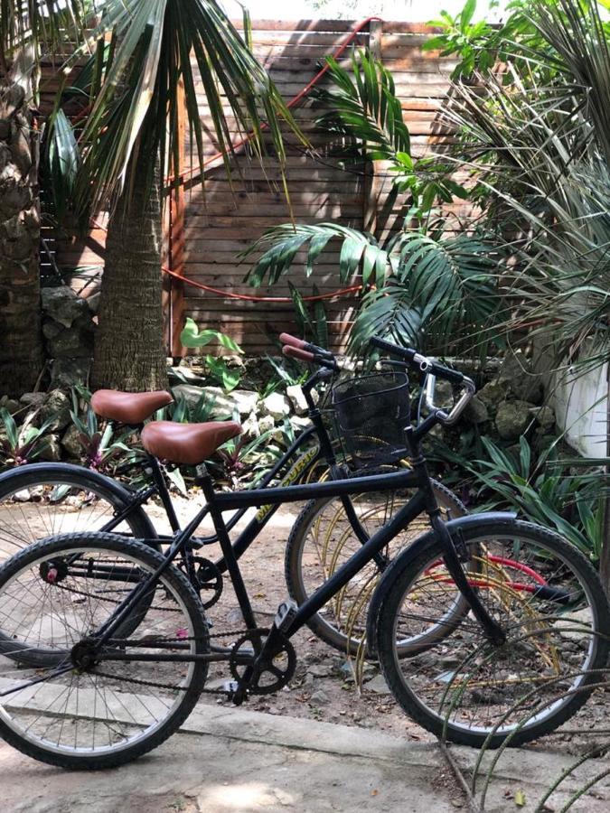 Crucero Tulum Bed & Breakfast Luaran gambar