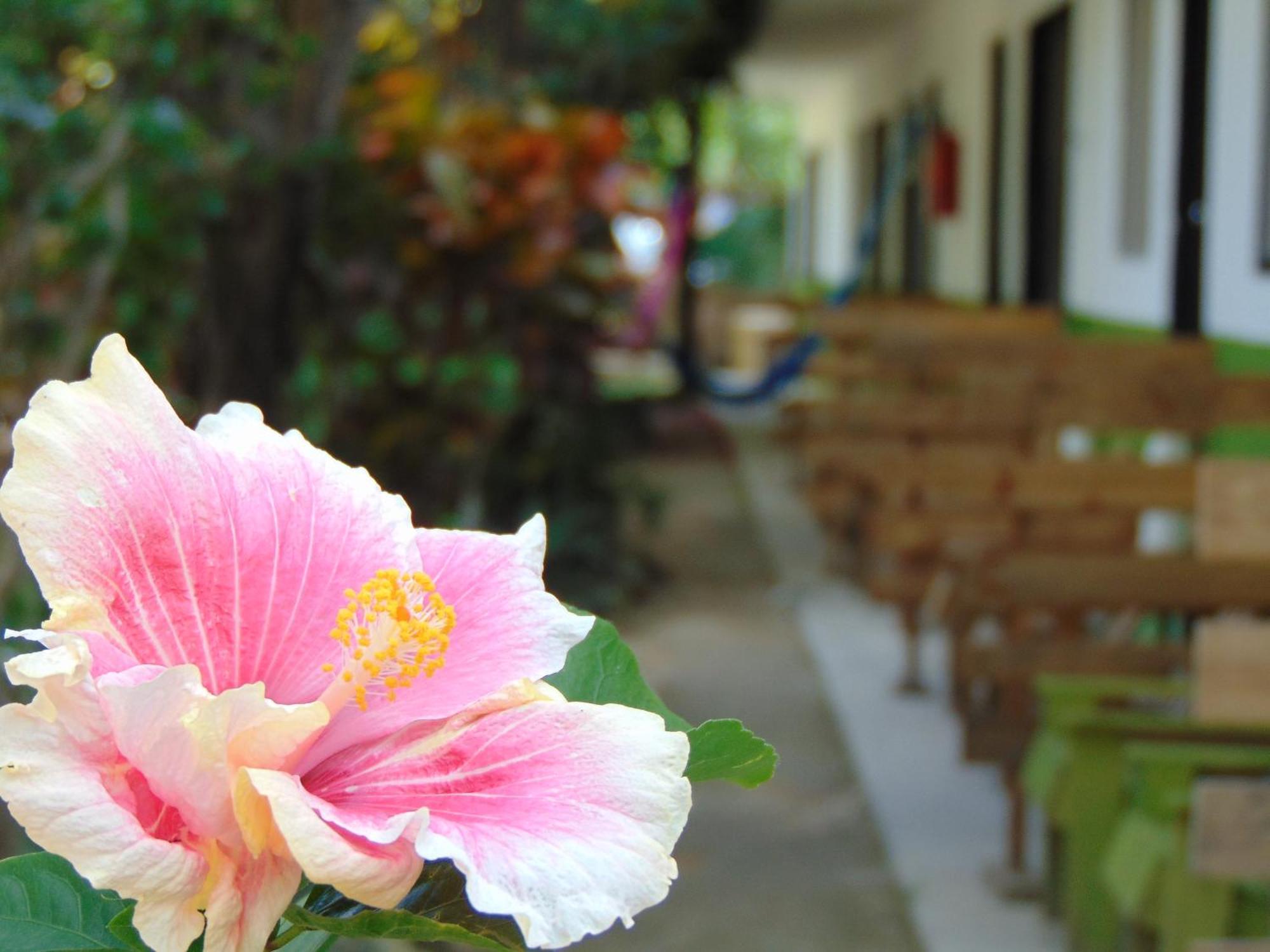 Crucero Tulum Bed & Breakfast Luaran gambar